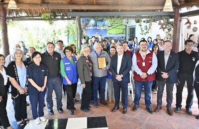 Grupal Limpio