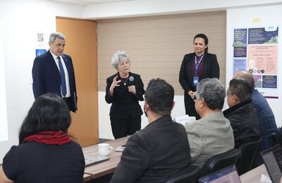 Taller de fortalecimiento de la red de expertos clínicos en arbovirosis. Diagnóstico clínico y manejo de enfermedades arbovirales