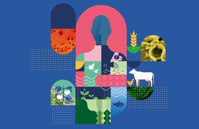 Semana mundial de concientización sobre la resistencia a los antimicrobianos 2026