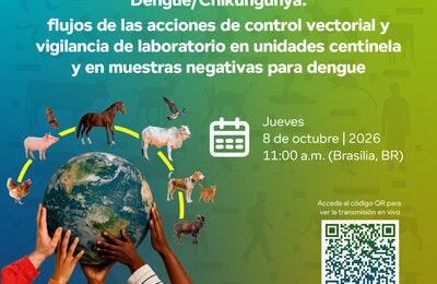 banner webinario dengue