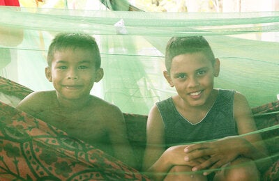 Countries of the Americas. Champions in the fight against malaria