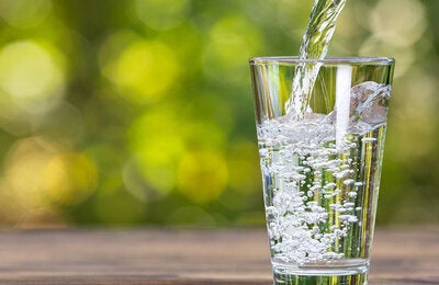 Dia mundial del medio ambiente