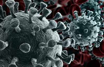 coronavirus