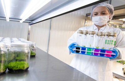 bacteriologa con tubos de ensayo