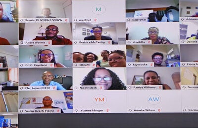 Webinar participants