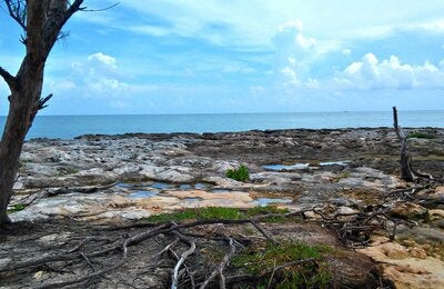 Health and Climate: Latin American countries are working together towards building sustainable and climate resilient health systems and reducing emissions in the sector