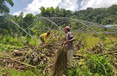 Farming in Saint Lucia