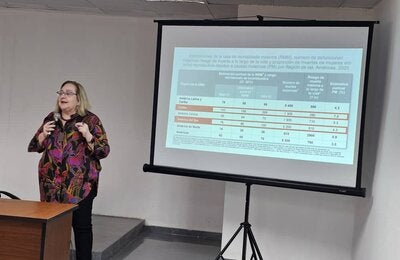 Presentaciones en el taller sobre morbilidad y mortalidad materna
