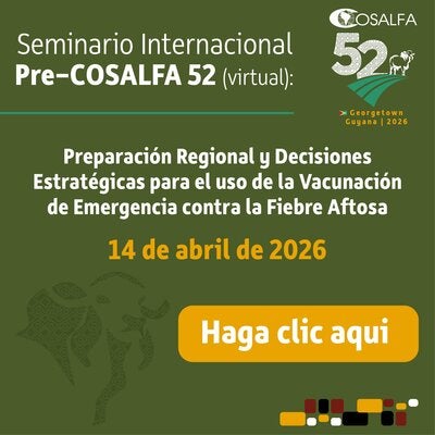 ""banner seminario cosalfa 52