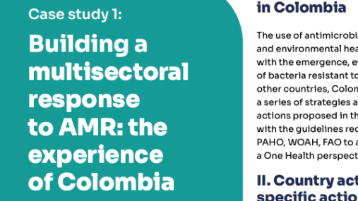 Portada de publicación