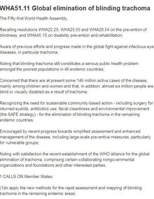 View of the document