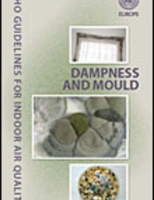 Portada de la publicación