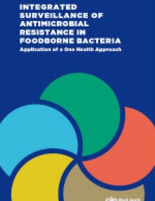 Integrated Surveillance of Antimicrobial Resistance in Foodborne Bacteria