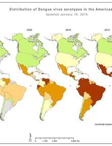 Distribución de serotipos de virus de Dengue en las Américas, 1990-2014 (mapa - sólo en inglés)