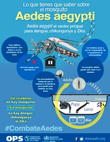 AFICHE aedes aegypti 18X24 (Guatemala).jpg