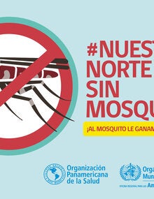 LETRERO MOSQUITOS 2,5X4,5 (JPG) (Chile) 