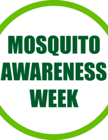 Mosquito awareness week 2018-2019: Solgan isolated. PNG 1181x1181