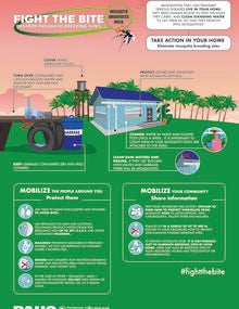 Take action in your home: Eliminate mosquito breeding sites (JPG version)