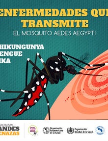 Banner enfermedades (Costa Rica) (JPG)