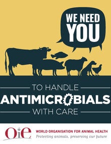 postcard oie we need you