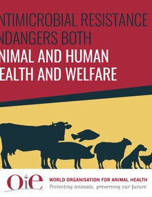 postcard oie antimicr