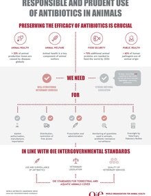 Infographic - Responsible and Prudent (JPG Version)