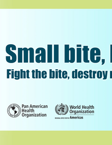 Caribbean Mosquito Awareness Week 2017: Banner PNG 2512 × 938