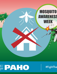 Postcard for social media - 400mts