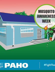 Postcard for social media - Mosquito netting