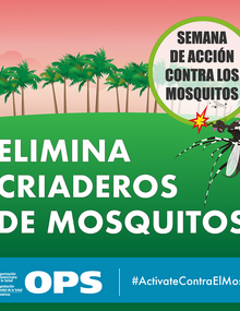 Postal para redes sociales - Elimina criaderos de mosquitos