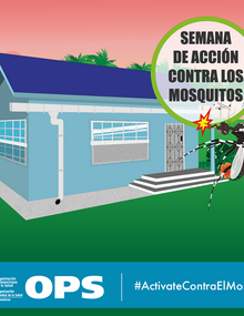 Postal para redes sociales - Mosquiteros