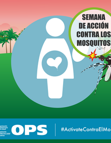 Postal para redes sociales - Precauciones en embarazadas