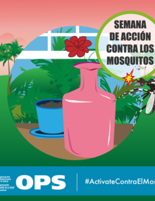 Postal para redes sociales - Floreros y macetas