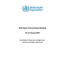 WHO Sepsis Technical Expert Meeting; 2018 