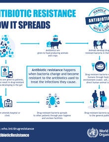 pack of infographic antimicr 2016