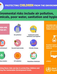 Infographic (WEB). Environmental risks includes air pollution...; 2017
