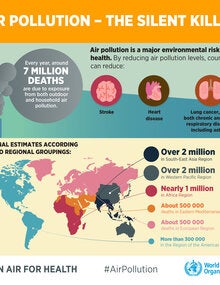 Infographic. Air pollution, the silent killer; 2019