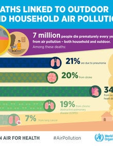 Infographic. Deaths linked to outdoor and household air pollution; 2019