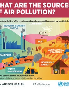 Infographic. What are the sources of air pollution?; 2019