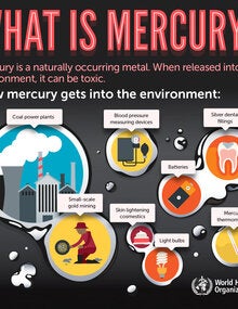 Infographic. What's mercury?; 2017