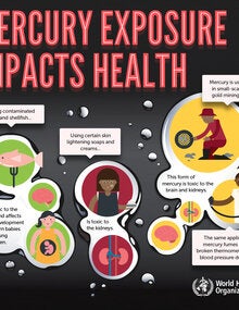 Infographic. Mercury exposure impacts health; 2017