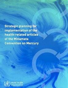Strategic planning for implementation of the health-related articles of the Minamata Convention on Mercury; 2019