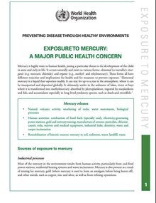 Exposure to Mercury: A major public health concern; 2007 