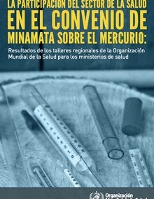 La participación del sector de la salud en el convenio de Minamata sobre el mercurio; 2018