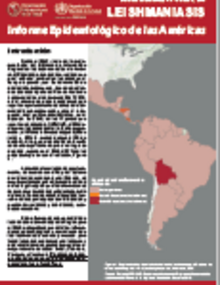 Leishmaniasis. Informe Epidemiológico de las Américas. Diciembre 2019