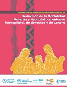 Reducción de la mortalidad materna y neonatal con enfoque intercultural de derechos y de género (Spanish only)