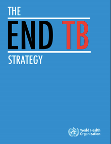 The End TB Strategy