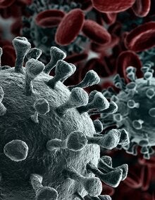Coronavirus Disease (COVID-19)
