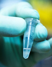 Researcher with green gloves holds laboratory vile