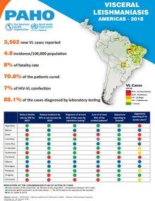 Infographic: Visceral Leishmaniasis. Americas - 2018